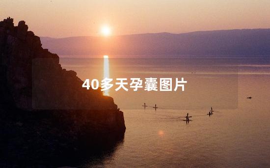 40多天孕囊图片