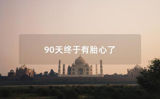 90天终于有胎心了