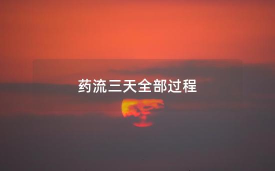 药流三天全部过程