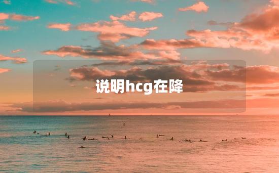 说明hcg在降