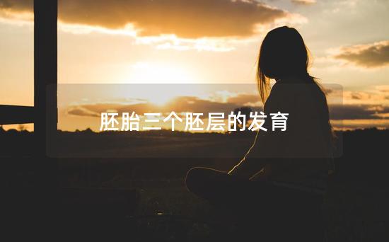 胚胎三个胚层的发育