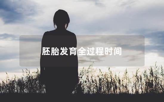 胚胎发育全过程时间