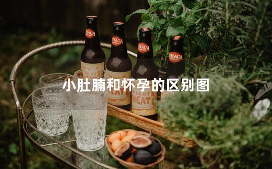 小肚腩和怀孕的区别图