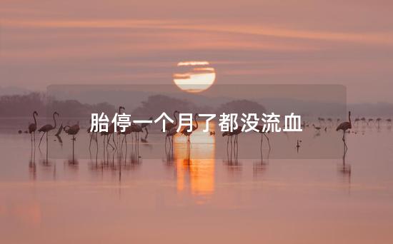 胎停一个月了都没流血