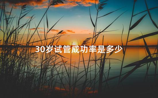 30岁试管成功率是多少