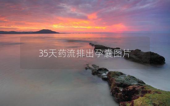 35天药流排出孕囊图片