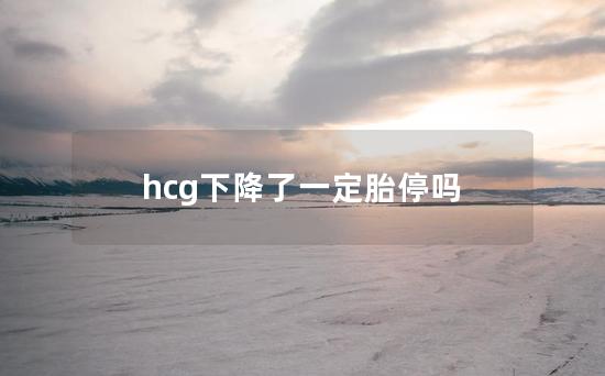 hcg下降了一定胎停吗