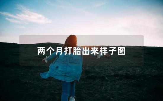 两个月打胎出来样子图