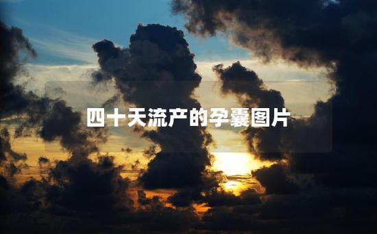 四十天流产的孕囊图片