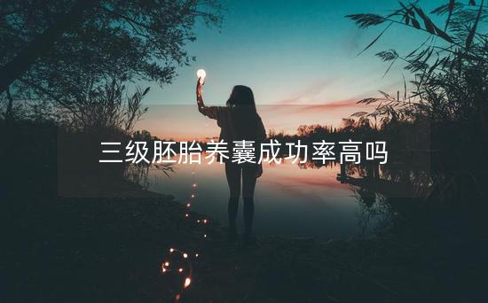 三级胚胎养囊成功率高吗