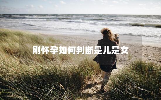 刚怀孕如何判断是儿是女