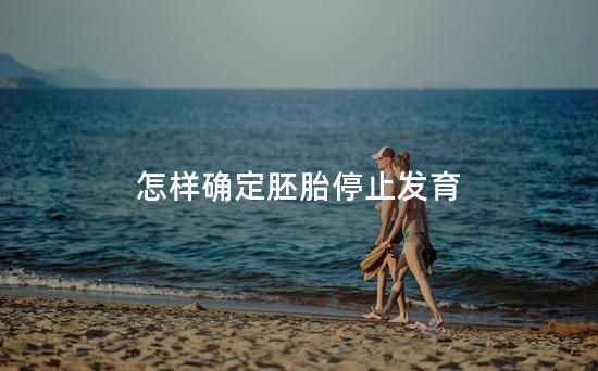 怎样确定胚胎停止发育