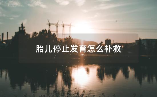 胎儿停止发育怎么补救