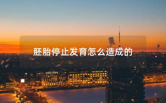 胚胎停止发育怎么造成的