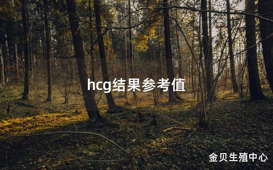 hcg结果参考值