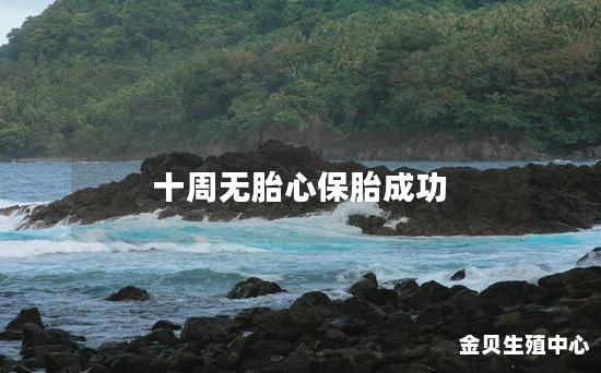 十周无胎心保胎成功