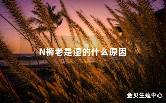 N裤老是湿的什么原因