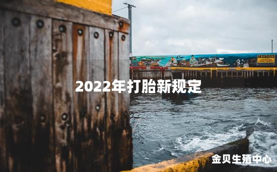 2022年打胎新规定