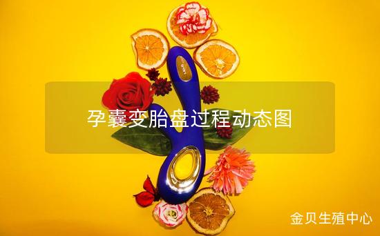 孕囊变胎盘过程动态图