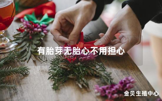 有胎芽无胎心不用担心