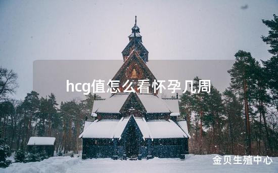 hcg值怎么看怀孕几周