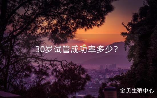 30岁试管成功率多少？