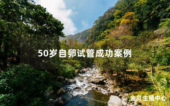 50岁自卵试管成功案例