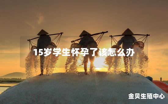 15岁学生怀孕了该怎么办