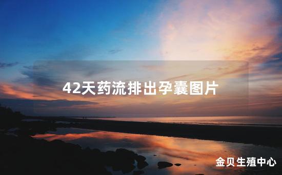 42天药流排出孕囊图片