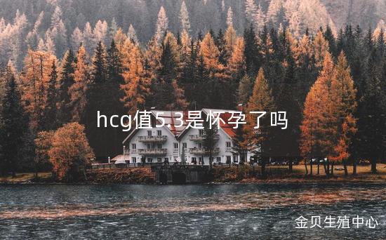 hcg值5.3是怀孕了吗