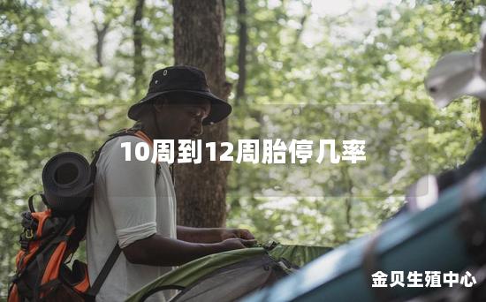 10周到12周胎停几率