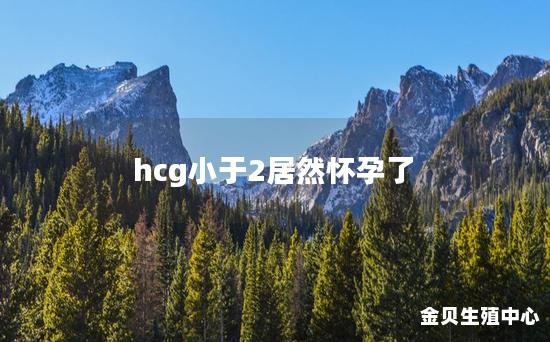 hcg小于2居然怀孕了