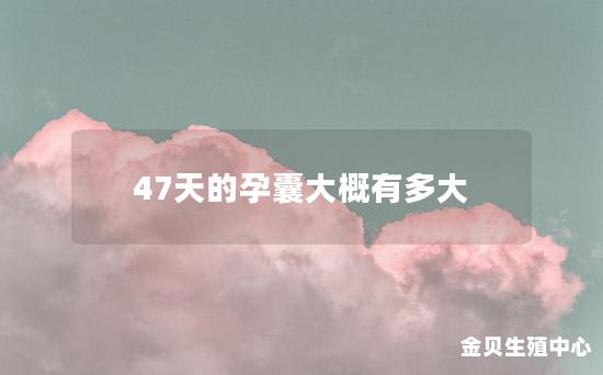 47天的孕囊大概有多大