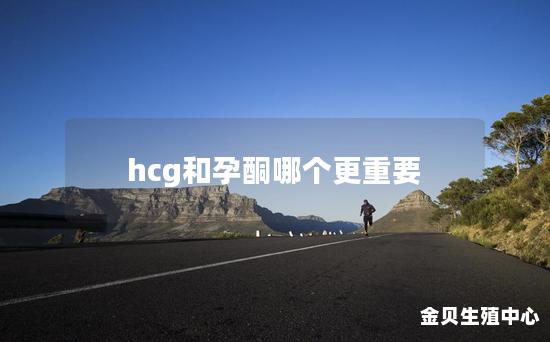 hcg和孕酮哪个更重要