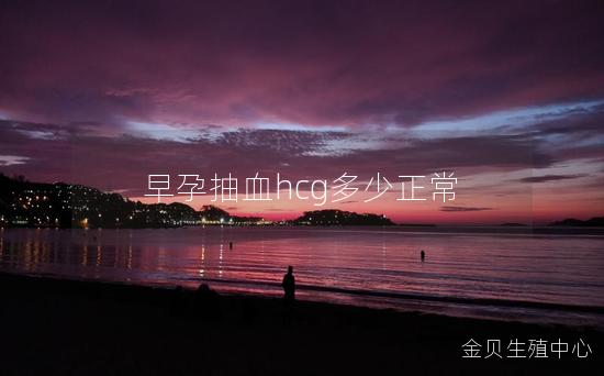 早孕抽血hcg多少正常