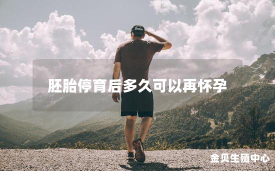 胚胎停育后多久可以再怀孕