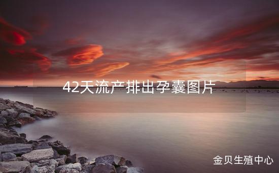 42天流产排出孕囊图片