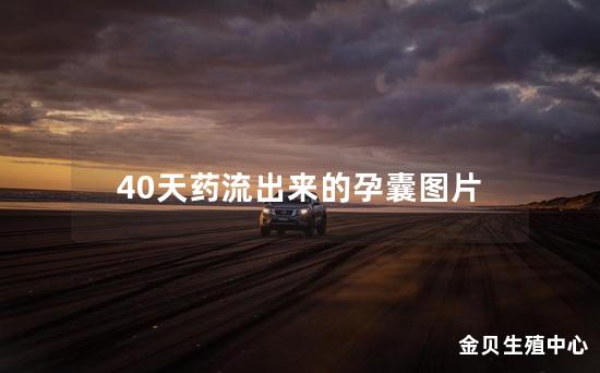 40天药流出来的孕囊图片