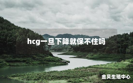 hcg一旦下降就保不住吗