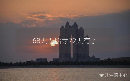 68天无胎芽72天有了