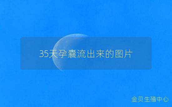 35天孕囊流出来的图片