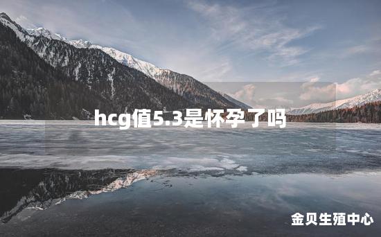 hcg值5.3是怀孕了吗