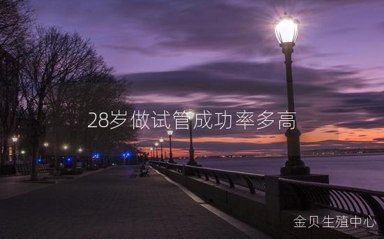 28岁做试管成功率多高