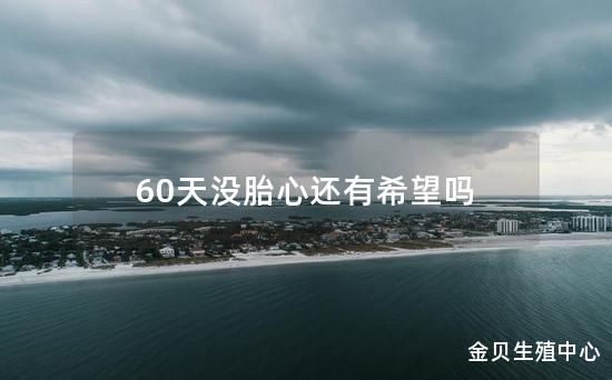 60天没胎心还有希望吗