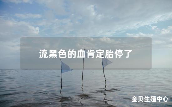 流黑色的血肯定胎停了