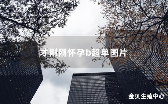 才刚刚怀孕b超单图片