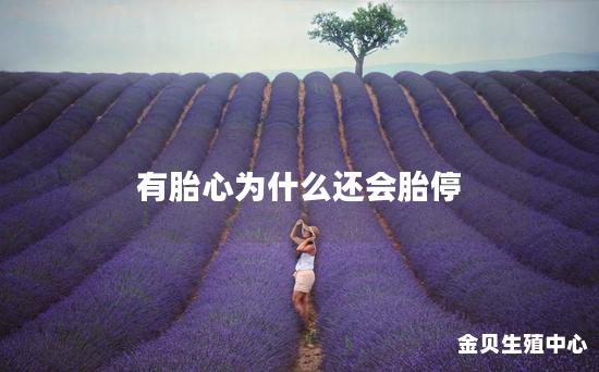 有胎心为什么还会胎停