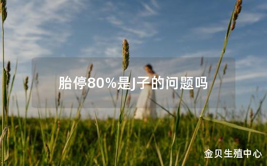 胎停80%是J子的问题吗