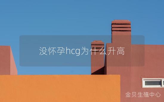 没怀孕hcg为什么升高