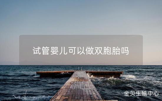 试管婴儿可以做双胞胎吗